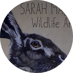 Logo for Sarah Majury Art